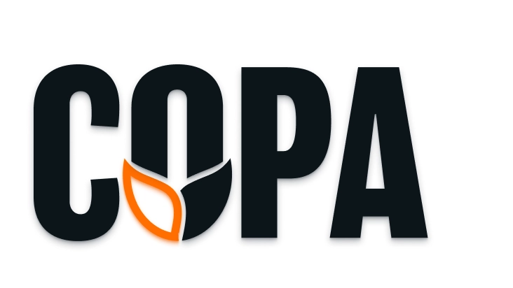 Copper: A Commodity for the Modern World