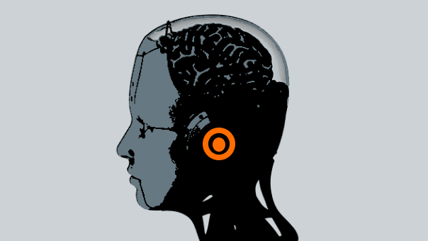 How to Invest in the Humanoid Robot Revo...